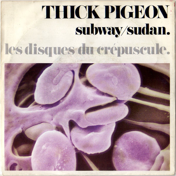 Thick Pigeon / Subway